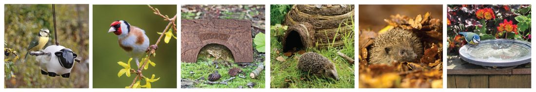 Wildlife World Products