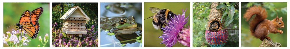 Wildlife World Products